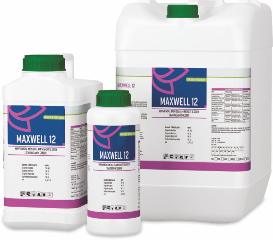 Maxwell 12